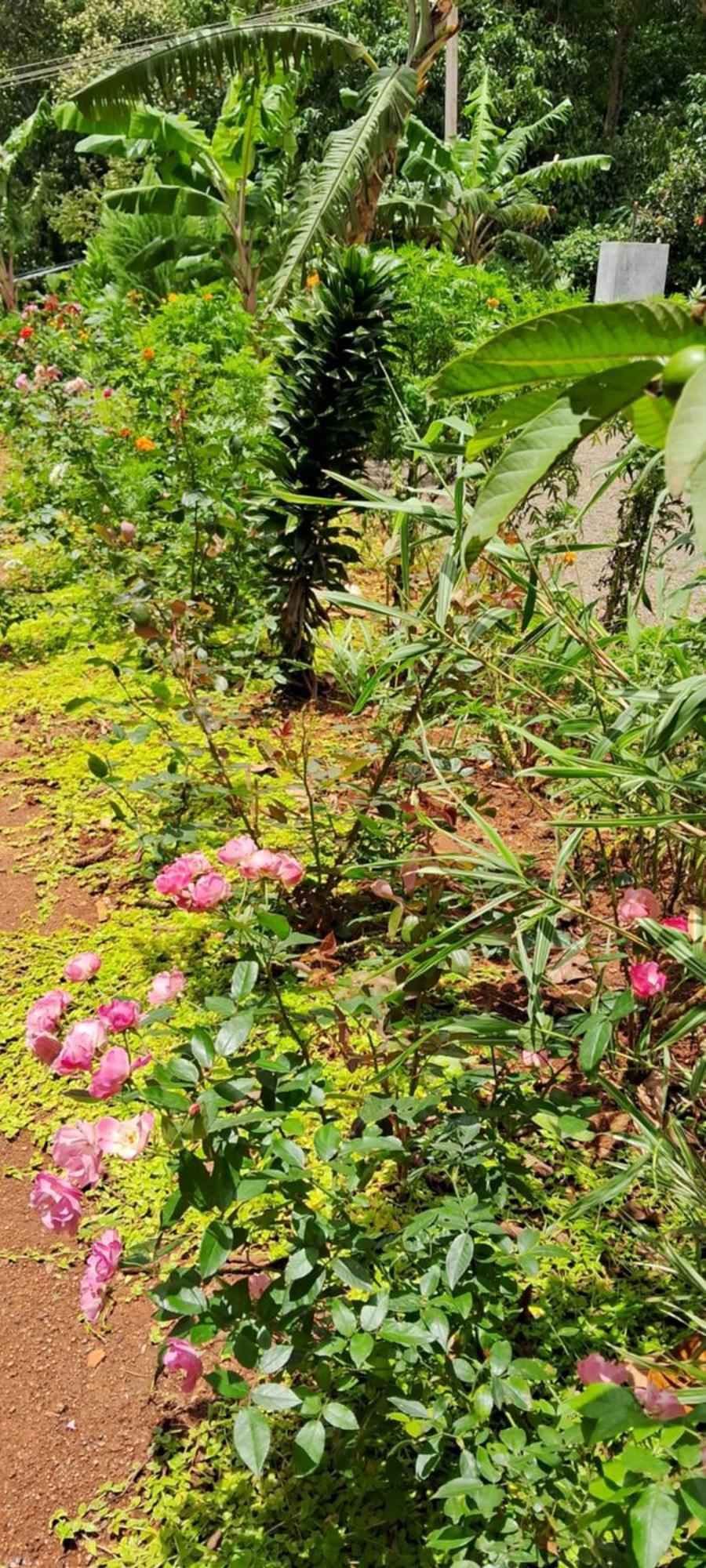 Rockland Holidays Ramakkalmedu ภายนอก รูปภาพ