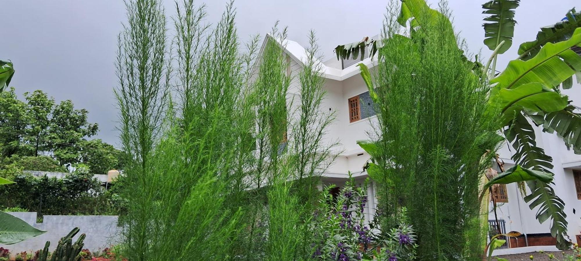 Rockland Holidays Ramakkalmedu ภายนอก รูปภาพ